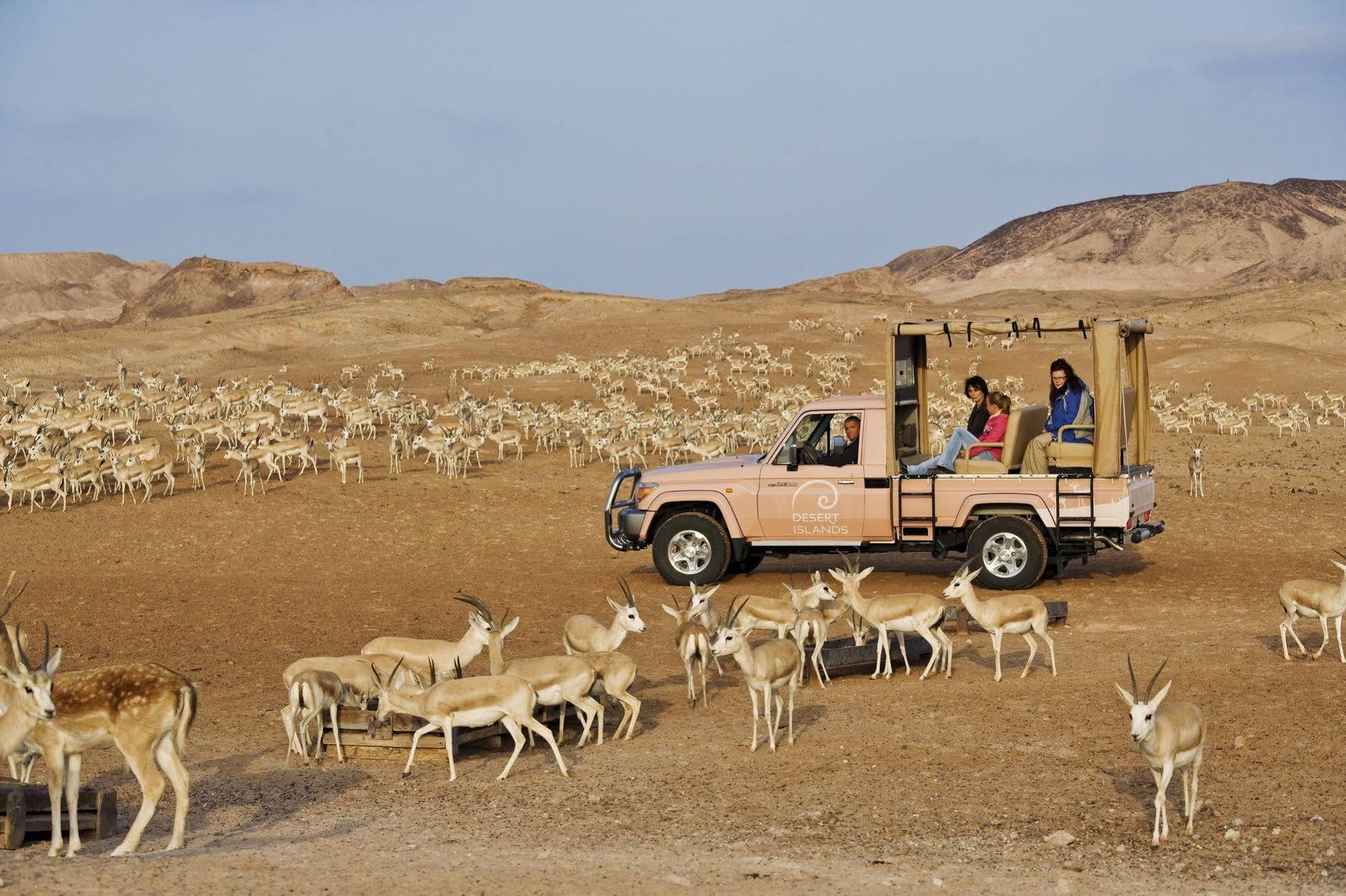 Anantara Sir Bani Yas Island Al Sahel Villas Zahr Exterior foto
